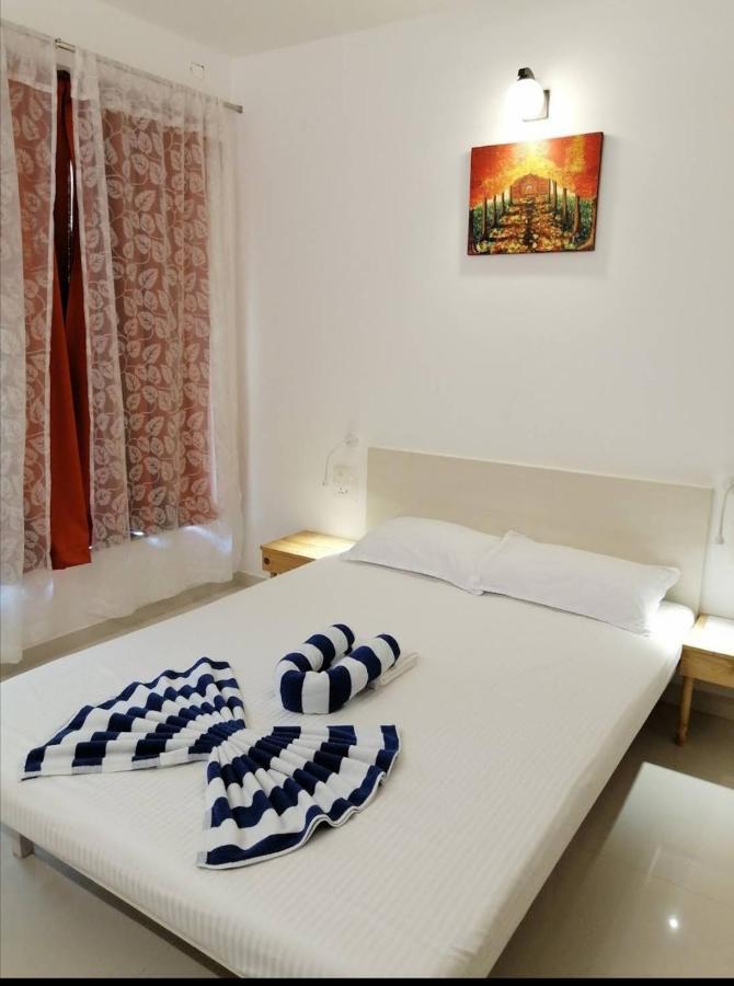 Cassiopeia Nest Apartman Arambol Kültér fotó