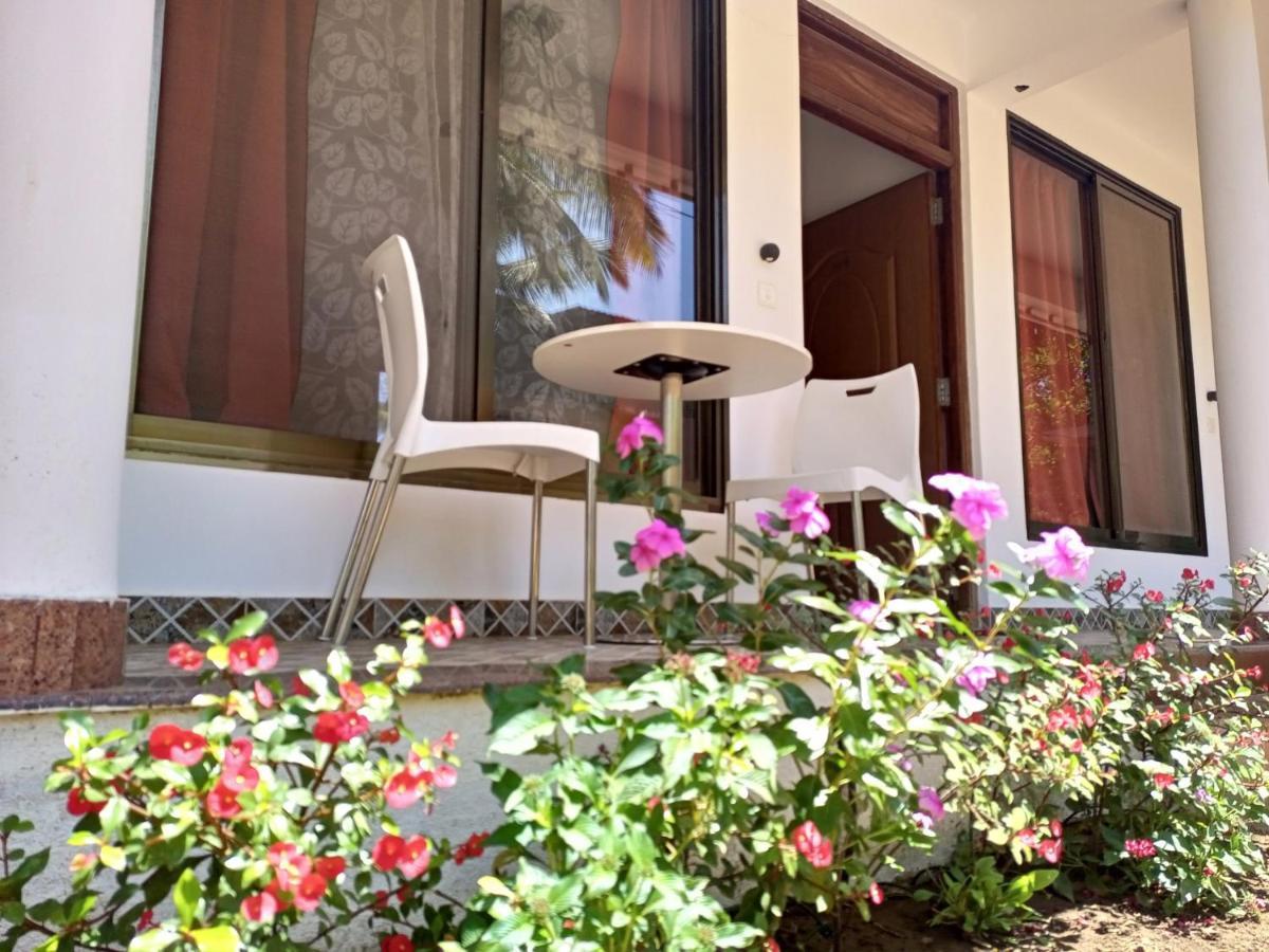Cassiopeia Nest Apartman Arambol Kültér fotó