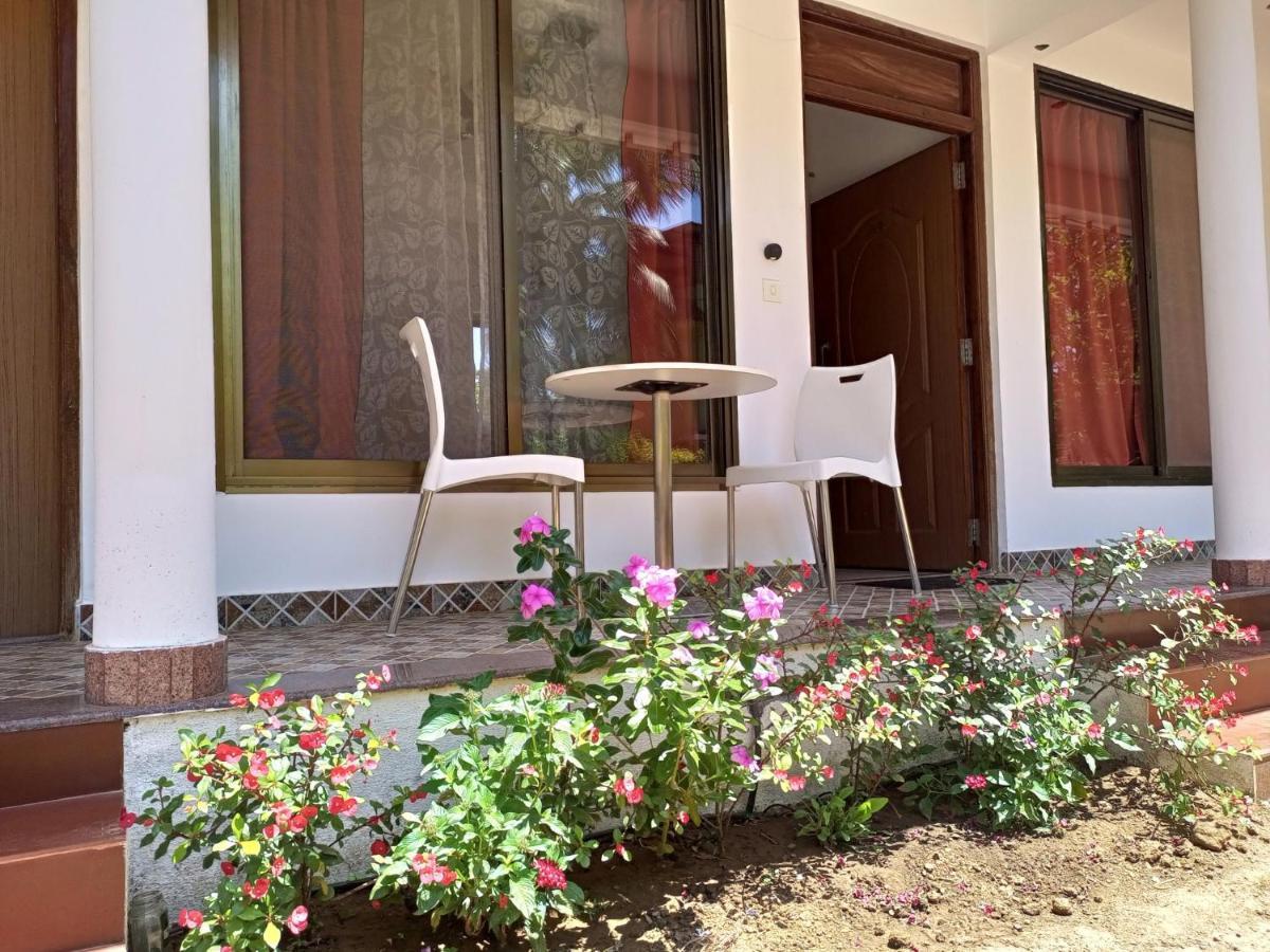 Cassiopeia Nest Apartman Arambol Kültér fotó